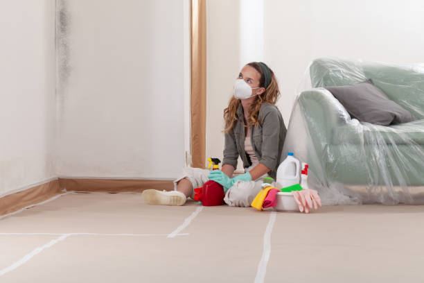 Reliable Mold Cleanup contractor in Waynesboro, PA by WQB Mold Removal